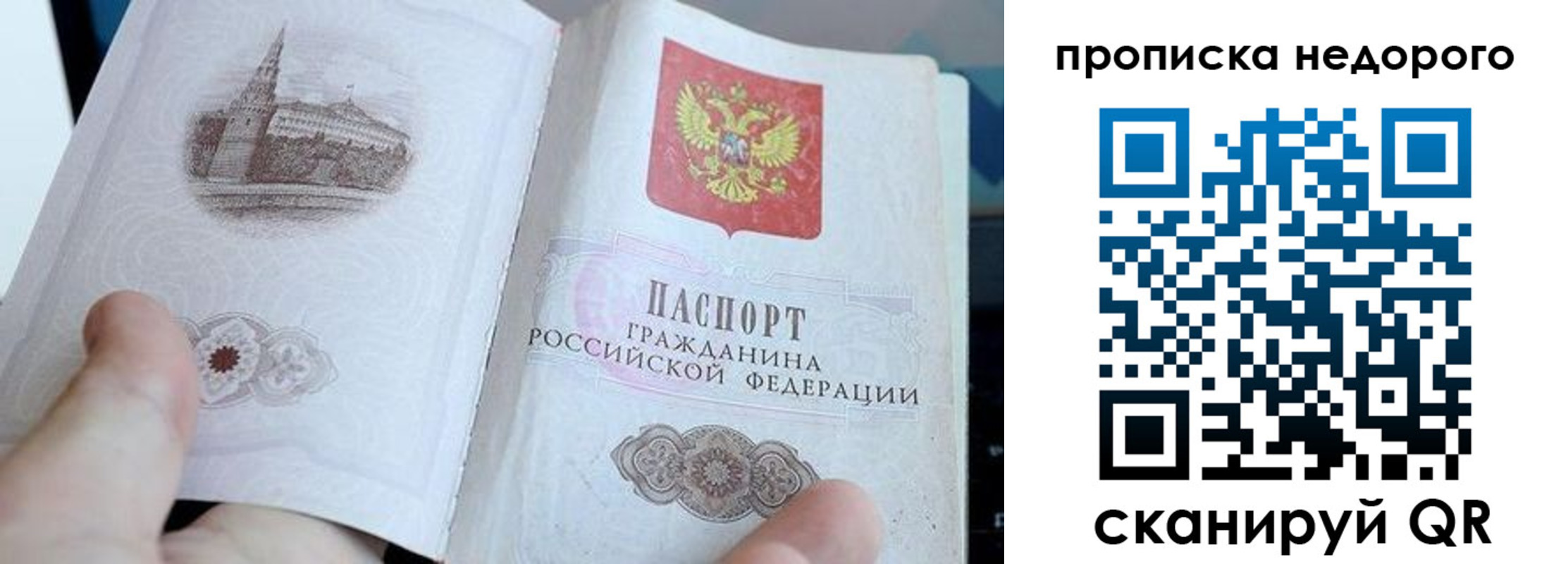 пропишу в квартире в Белой Калитве